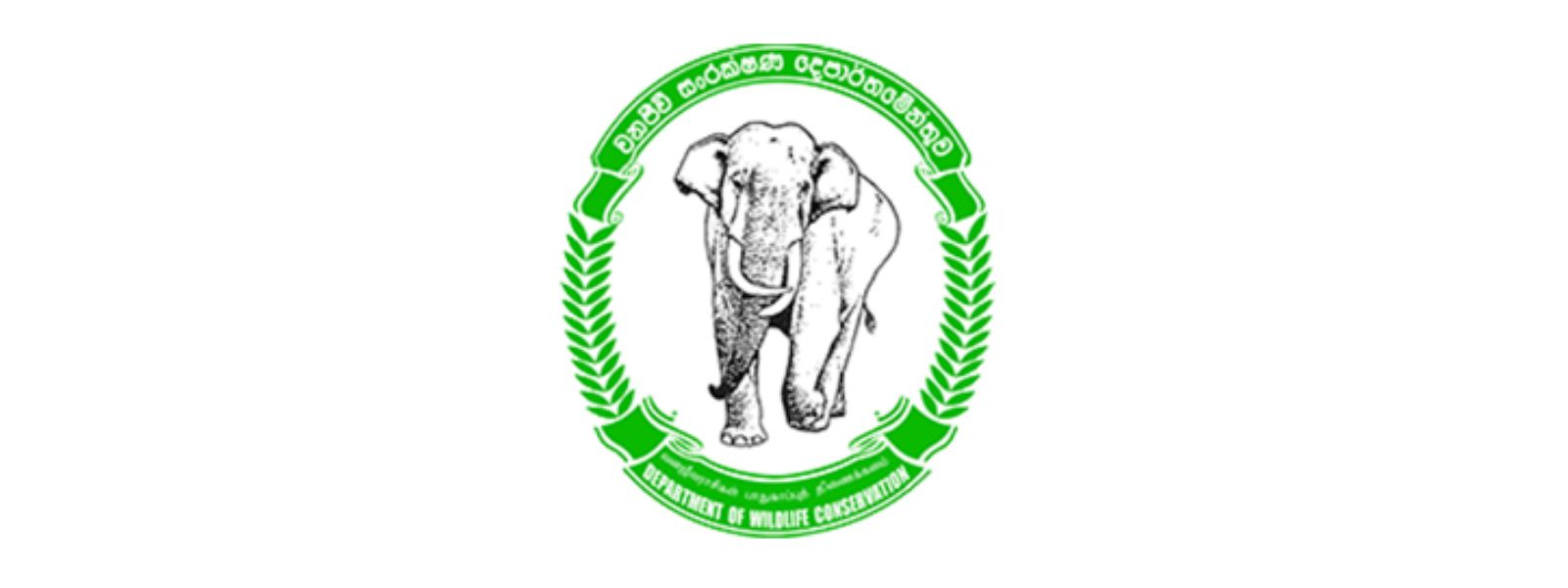 Wildlife Dept to Act Against Substandard Elephant